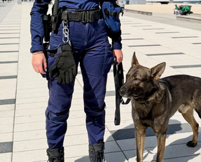 Gruszka w Policji – kiedy wypłata, ile wynosi i jak złożyć wniosek w 2026 roku